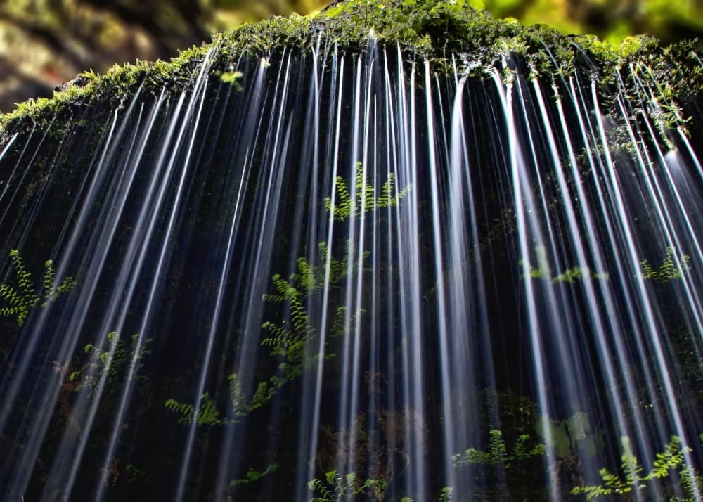 Water Streams Over Moss by Andrew J. Lee — canvas wall art