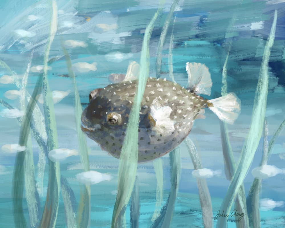 Pufferfish In Seagrass by Julia Cheney — canvas wall art