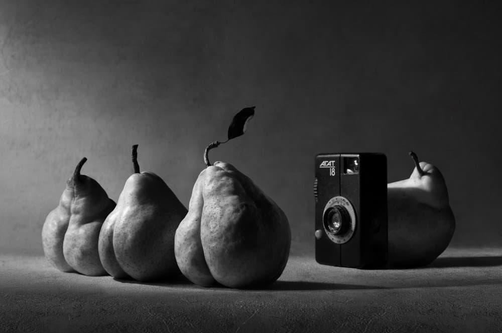 Pears And Vintage Camera by Victoria  Glinka — canvas wall art