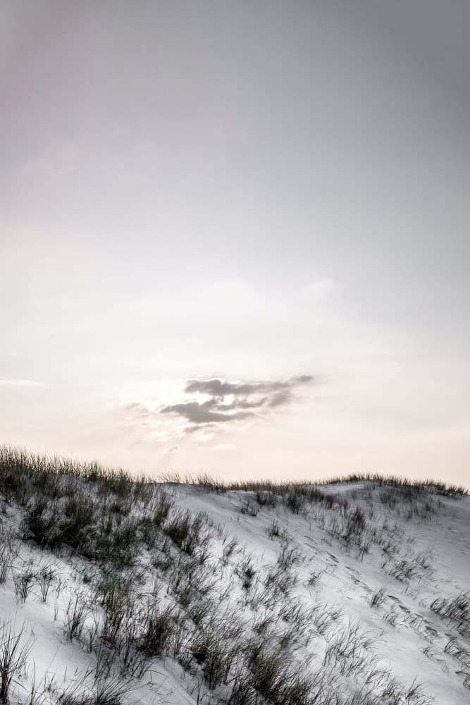 At the Coast 2 by Mareike Böhmer — canvas wall art