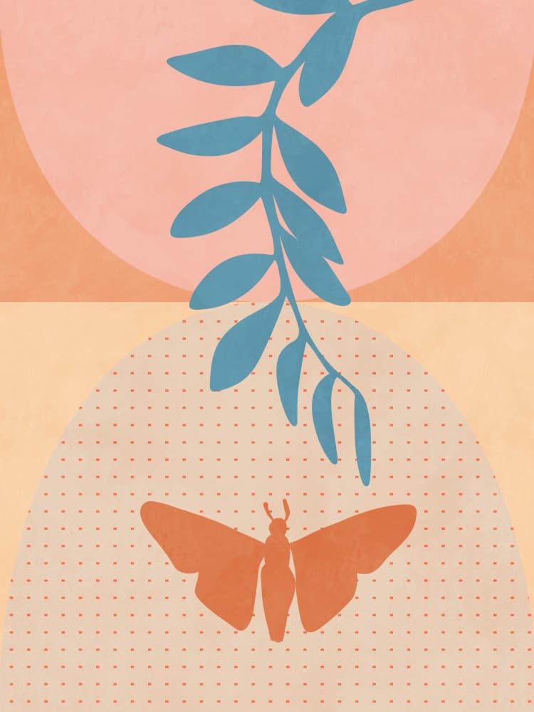 Spaces March 2020 1 Kopie by Ana Rut Bre — canvas wall art