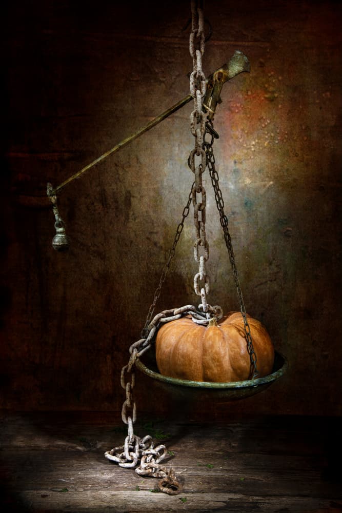 Rustic Pumpkin Scale by Felice Angelino — canvas wall art