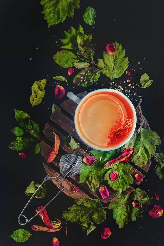 Warm Autumn Tea by Dina Belenko — canvas wall art