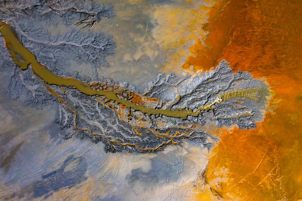 Vivid River Delta by Eros Erika — canvas wall art