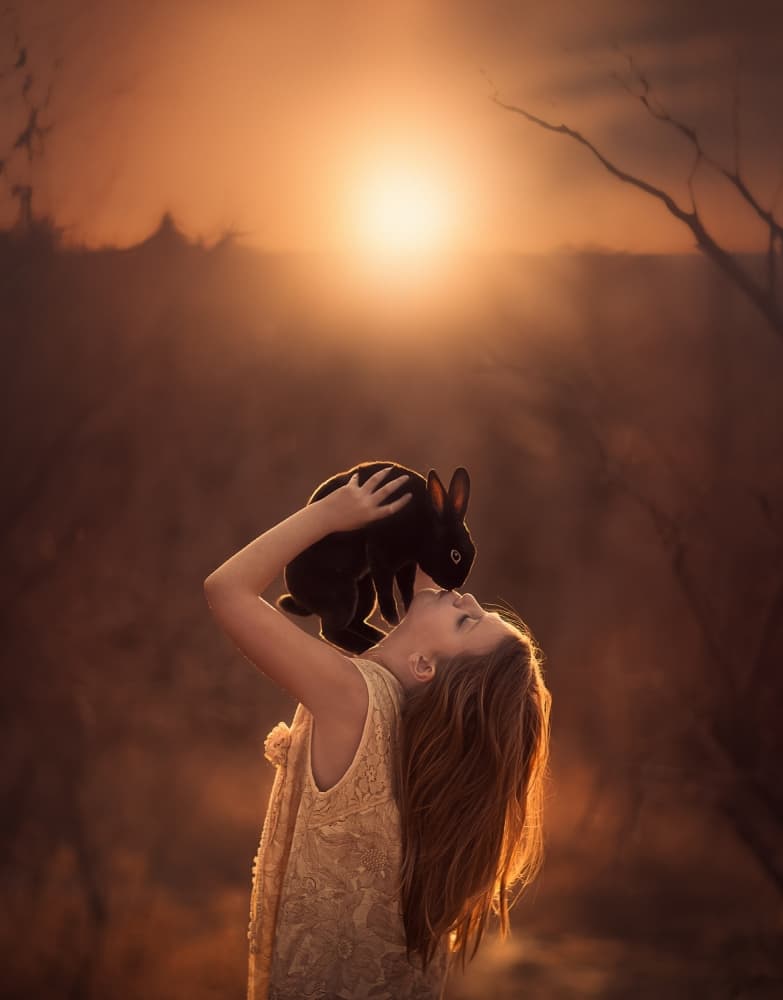 Magical Golden Rabbit by Jake Olson — canvas wall art