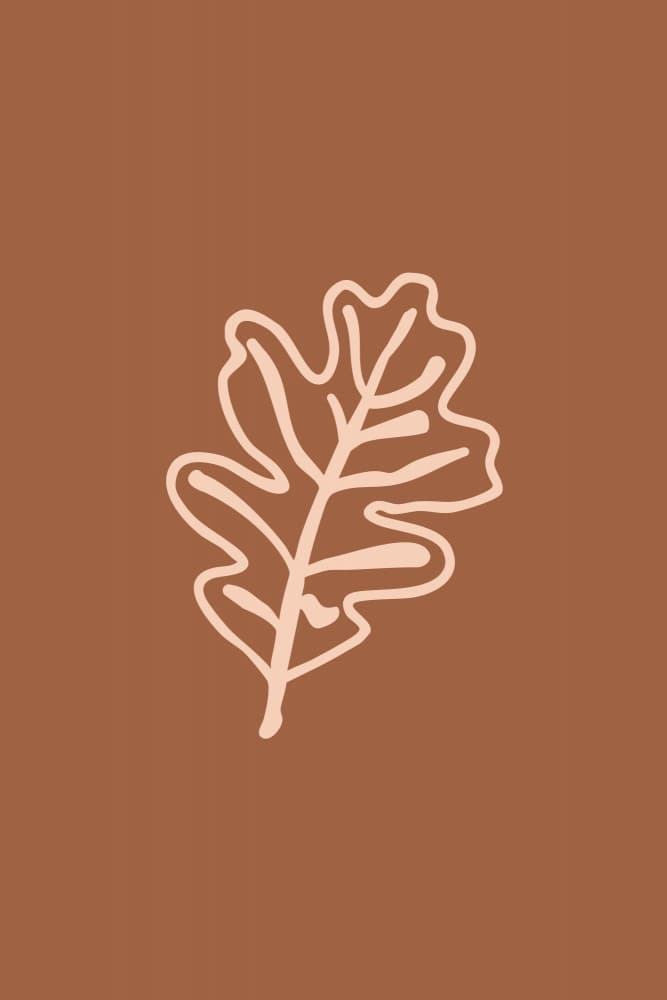 Oak Leaf Outline by Karen Menzenbach — canvas wall art