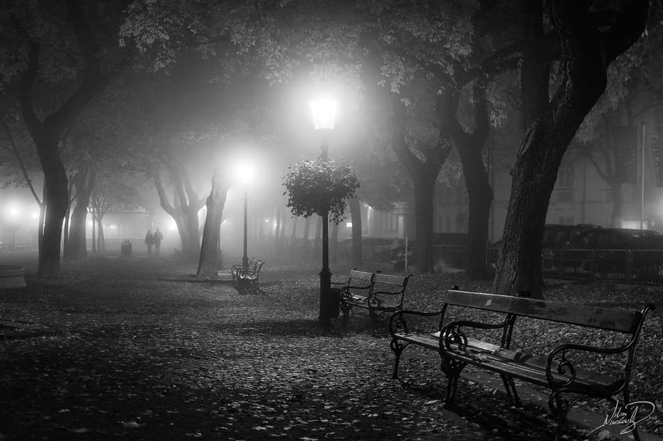 Misty Park Path by Ilias Nikoloulis — canvas wall art