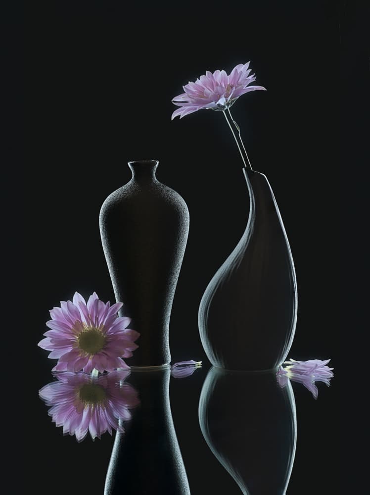 Serene Floral Reflections by Alice Sheng — canvas wall art