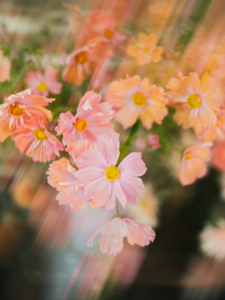 Moving Flowers 3 by Raisa Zwart — canvas wall art