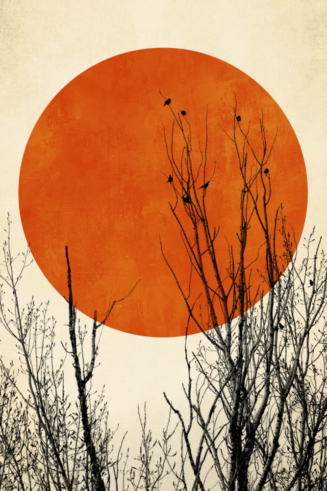 Winter Glow by Kubistika — canvas wall art