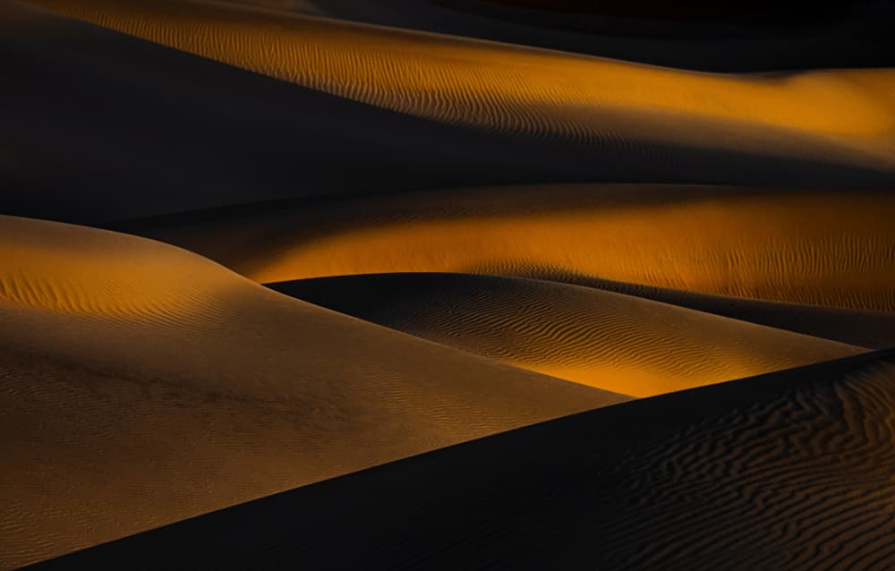 Golden Desert Dunes by Lydia Jacobs — canvas wall art