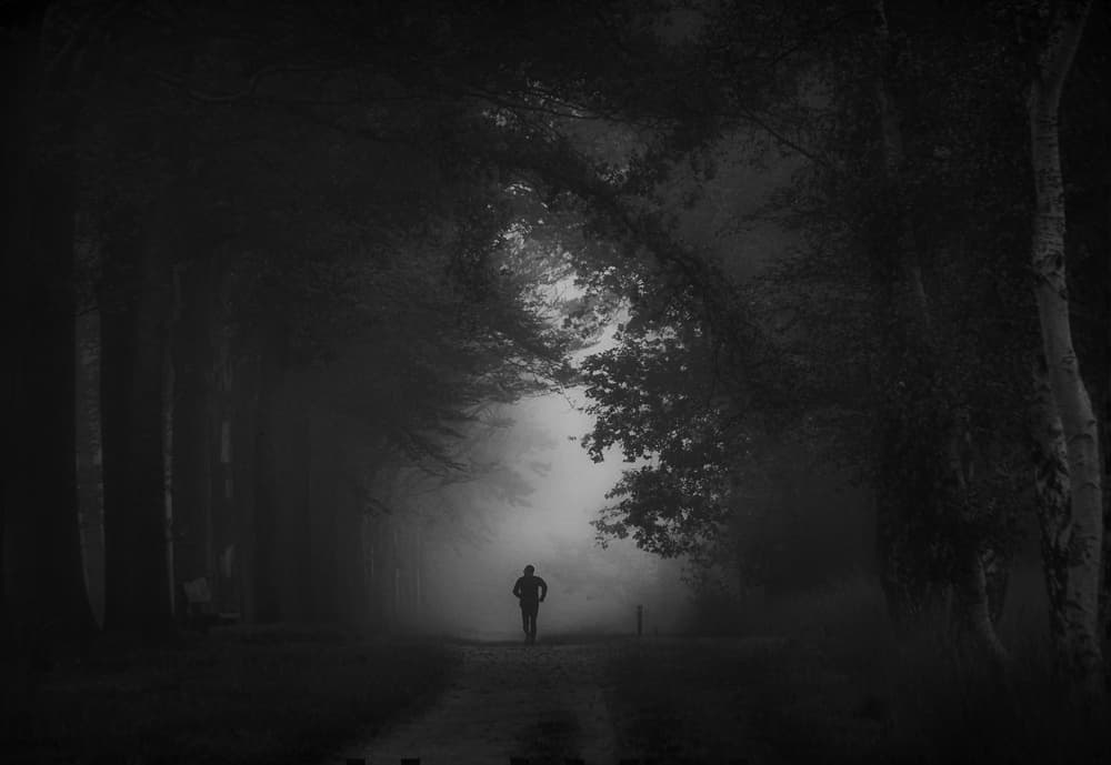 Runner on Foggy Path by Saskia Dingemans — canvas wall art