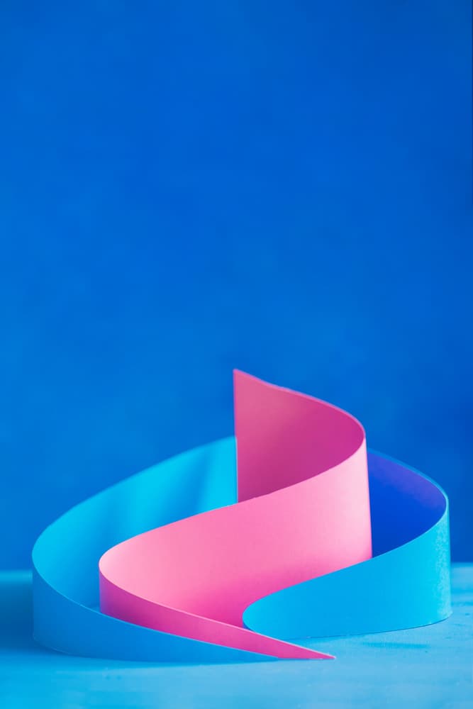 Elegant Paper Curves by Dina Belenko — canvas wall art