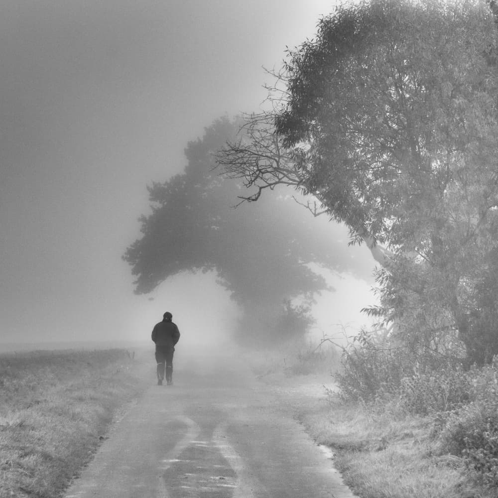 Solitary Foggy Path by Robert Kuavi — canvas wall art
