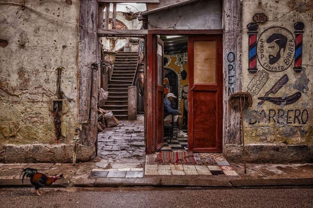 Old Barbershop Rooster by Pavol Stranak — canvas wall art