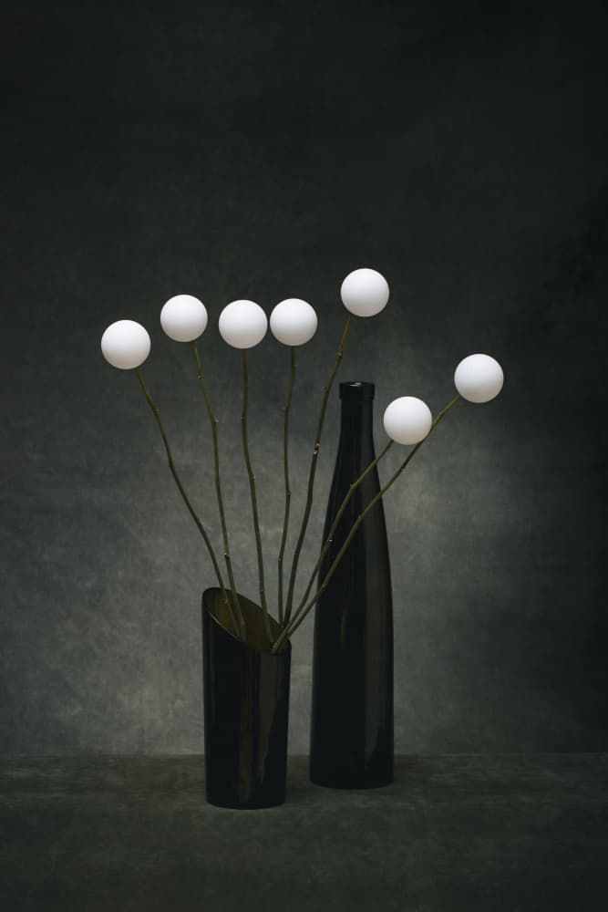White Spheres Dark Vases by Brig Barkow — canvas wall art