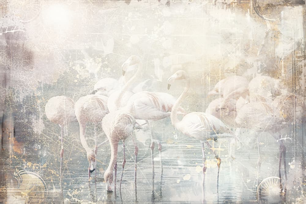 Dreamy Pink Flamingos by Rafal Kulik — canvas wall art