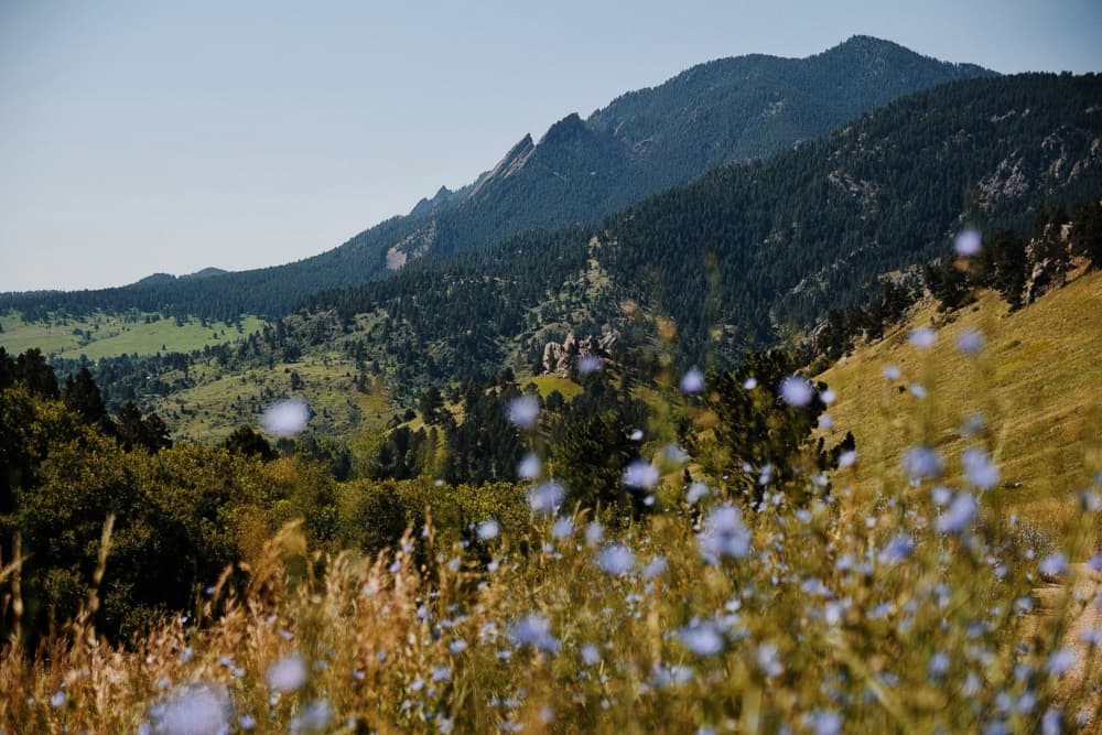 Flatirons Wildflower Foothills by Del Mundo Imagery — canvas wall art
