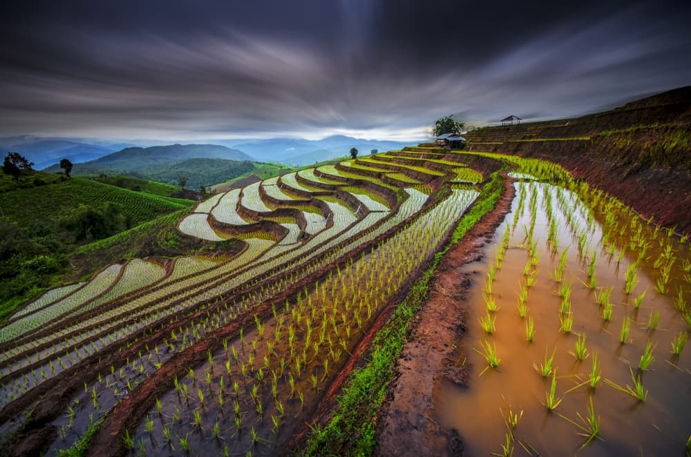 Cloudy Rice Terraces by Tetra — canvas wall art