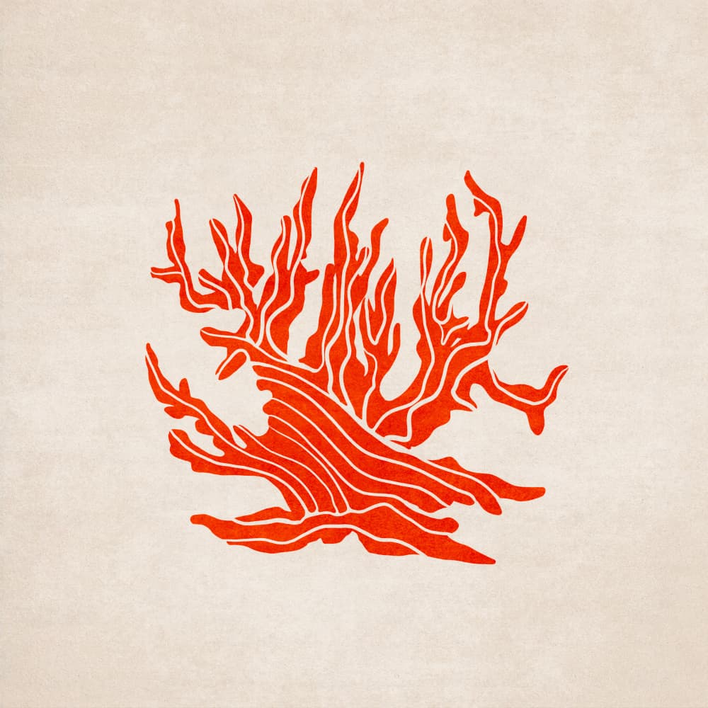 Fiery Coral Bloom by Emel Tunaboylu — canvas wall art