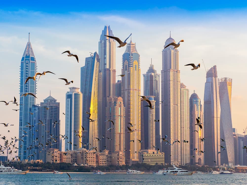 Dubai Marina Birds Flying by Liza Simonsson — canvas wall art