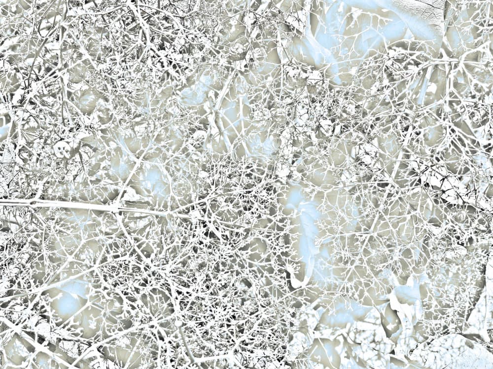 Ethereal Winter Branches by Santhosh ch — canvas wall art