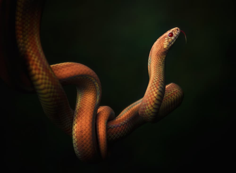Striking Orange Serpent by Rooswandy Juniawan — canvas wall art