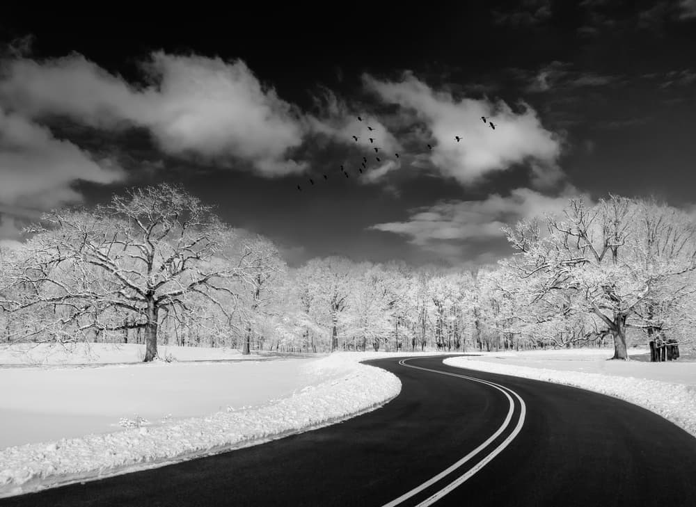 Snowy Winding Road by Kevin Wang — canvas wall art