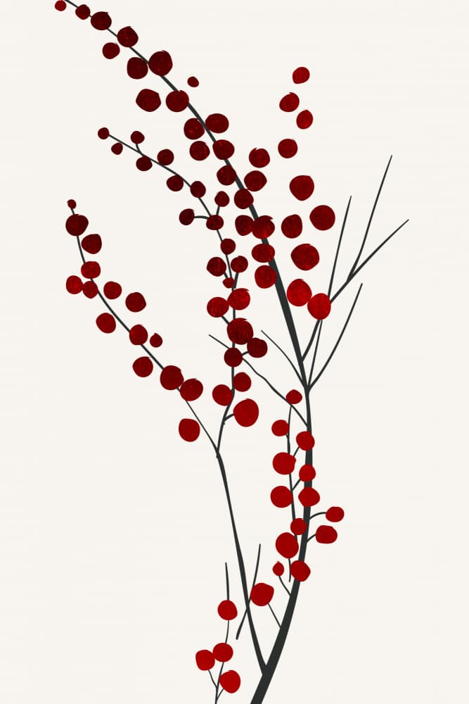Mistletoe Kisses by Kubistika — canvas wall art