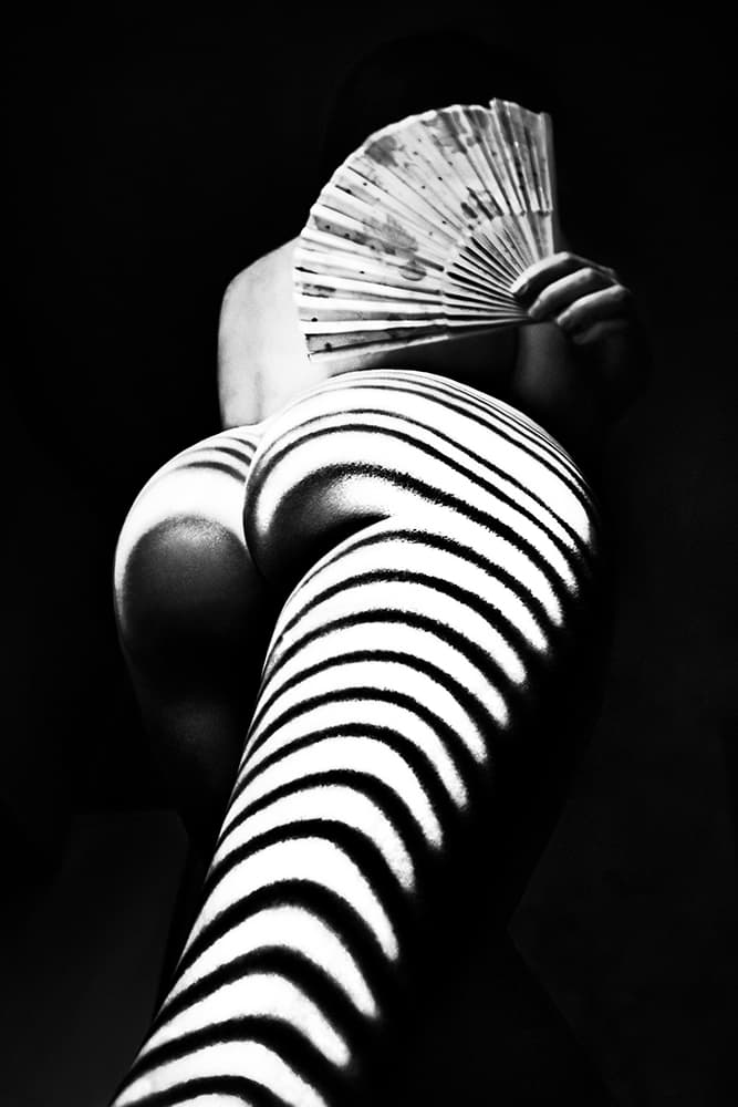 Sensual Shadow Stripes by Mikhail Faletkin — canvas wall art