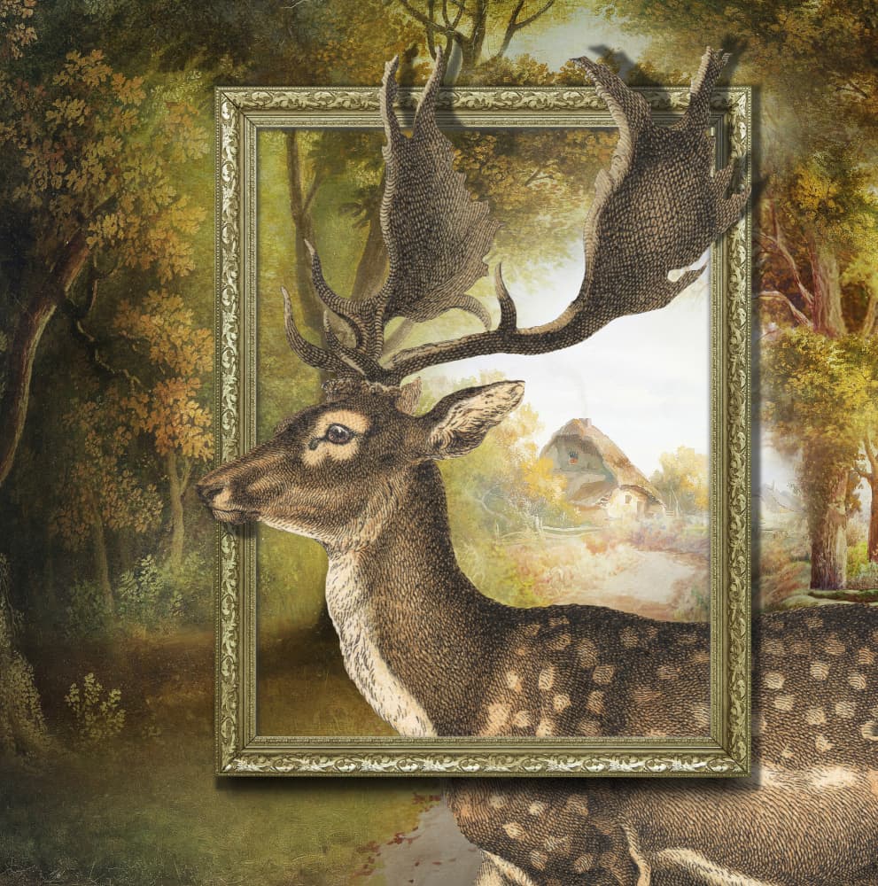 Fallow Deer In Forest Frame by Marja van den Hurk — canvas wall art