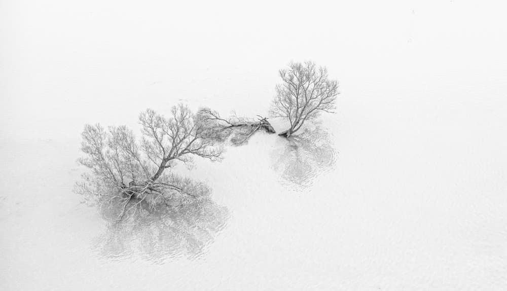 Winter Trees Reflections by Jan van der Linden — canvas wall art