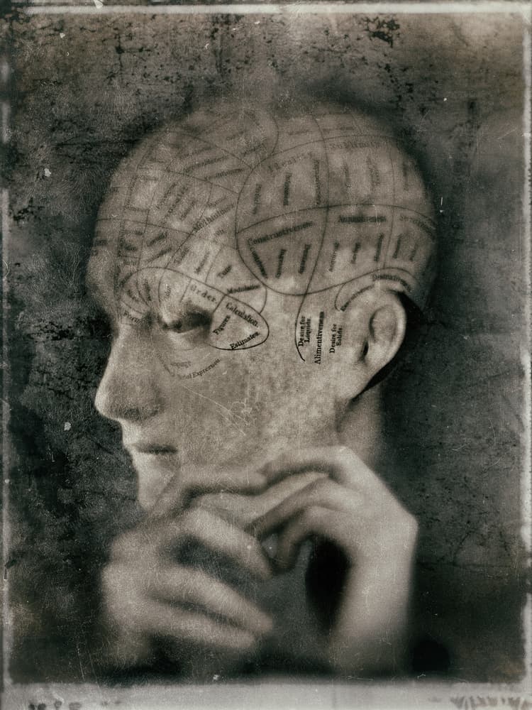 Vintage Phrenology Study by Jeffrey Hummel — canvas wall art