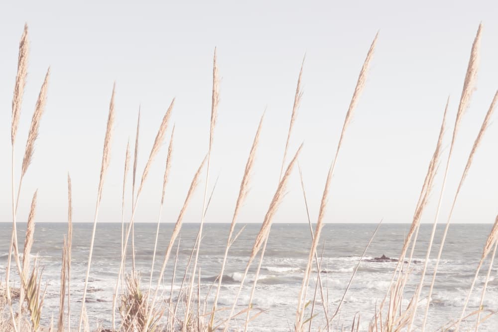 Coastal Grass Ocean View by Pictufy Studio III — canvas wall art