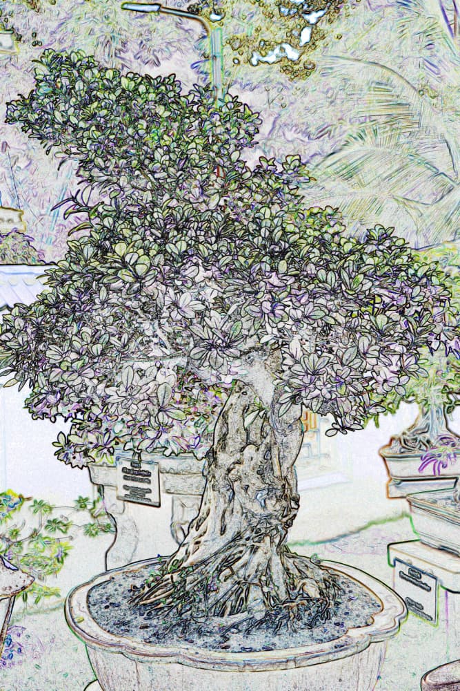 Detailed Bonsai Sketch by Santhosh ch — canvas wall art