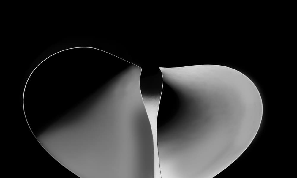 Elegant Paper Curves by Jutta Kerber — canvas wall art