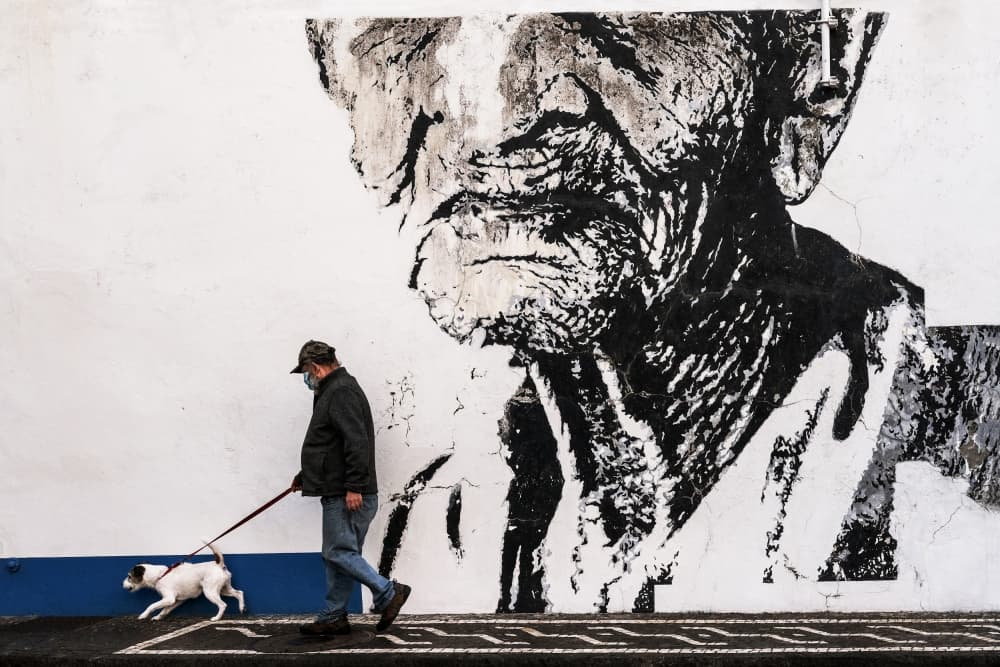 I'm watching you! by Gabi Pontes — canvas wall art