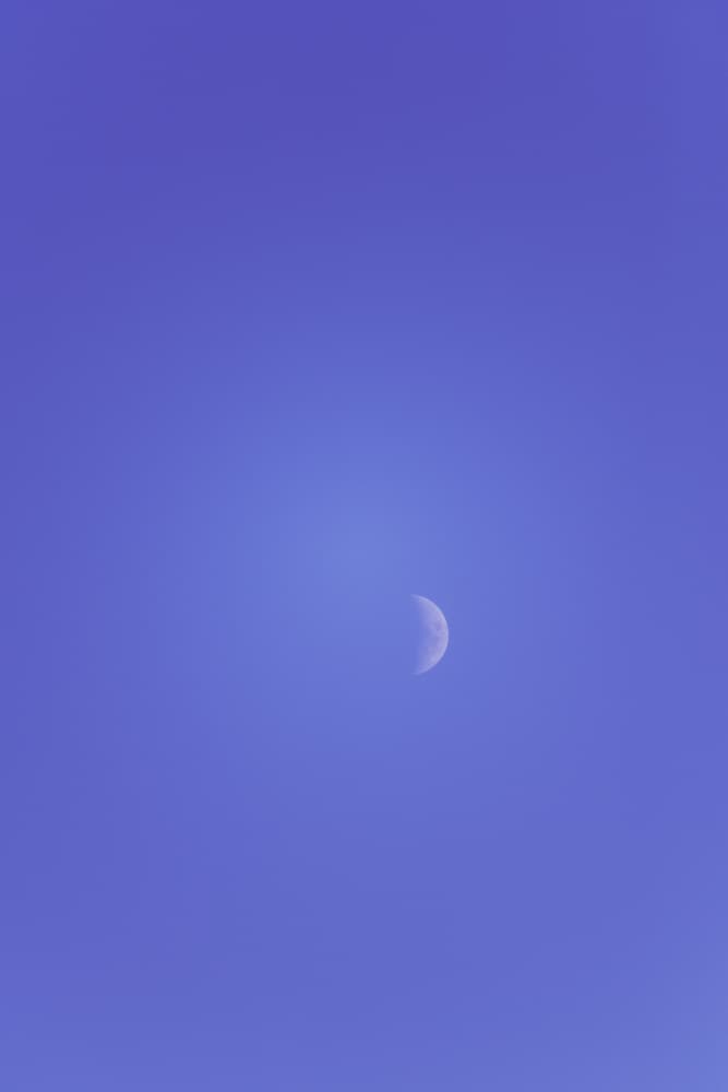 Serene Daytime Moon by Lynann Colligan — canvas wall art