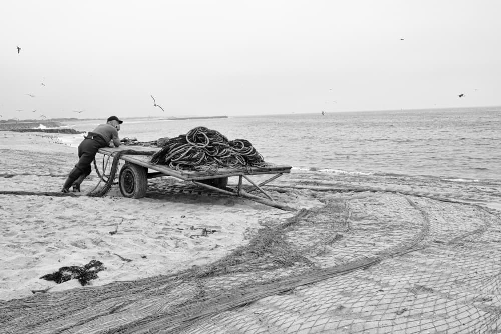 Fisherman Hauling Nets by Carlos Costa — canvas wall art