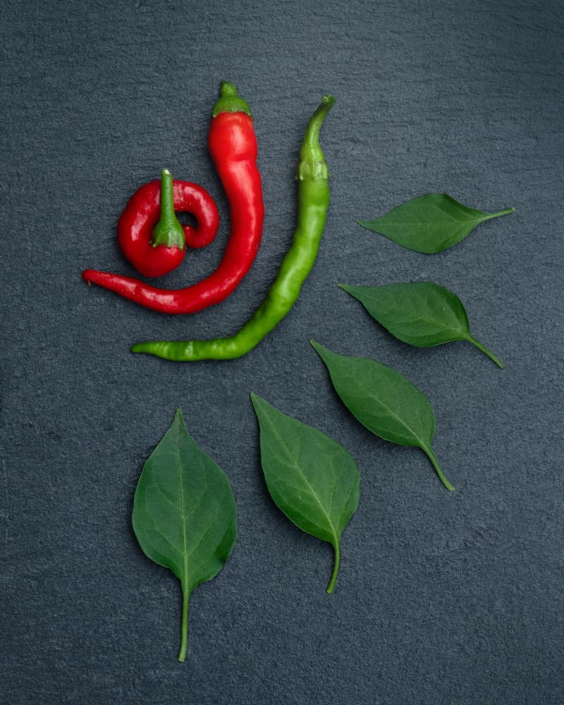 Red Green Chili Peppers by FranzStaab — canvas wall art