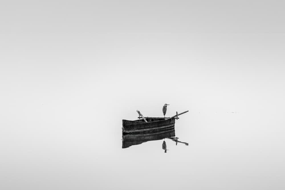 Peaceful Boat and Birds by George Digalakis — canvas wall art