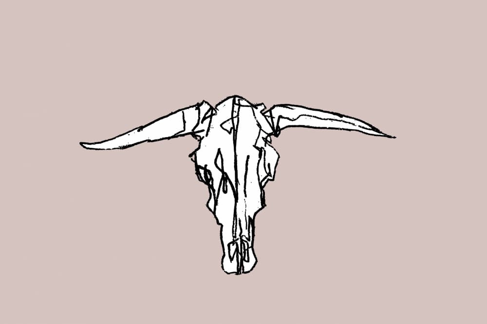 Minimalist Longhorn Skull by cartissi — canvas wall art
