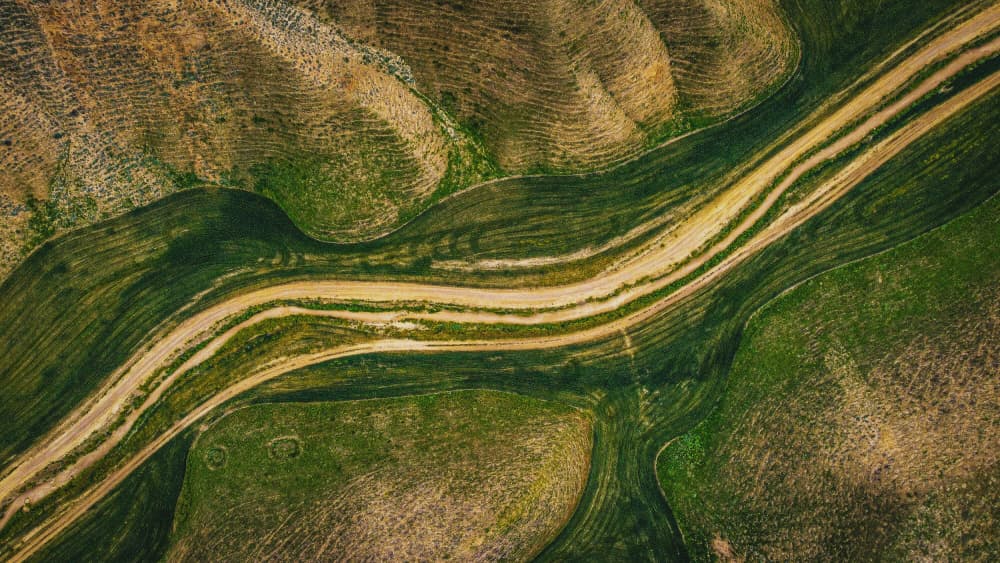 Winding Field Path by Saeed Keramati — canvas wall art