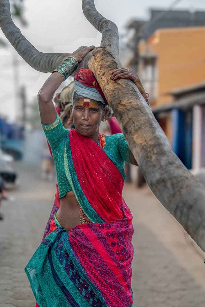 Indian Woman Carrying Wood by Ilana Lam — canvas wall art
