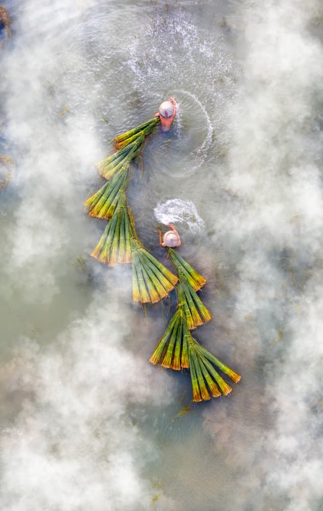 Asian Water Harvest by Tran Van Truong — canvas wall art