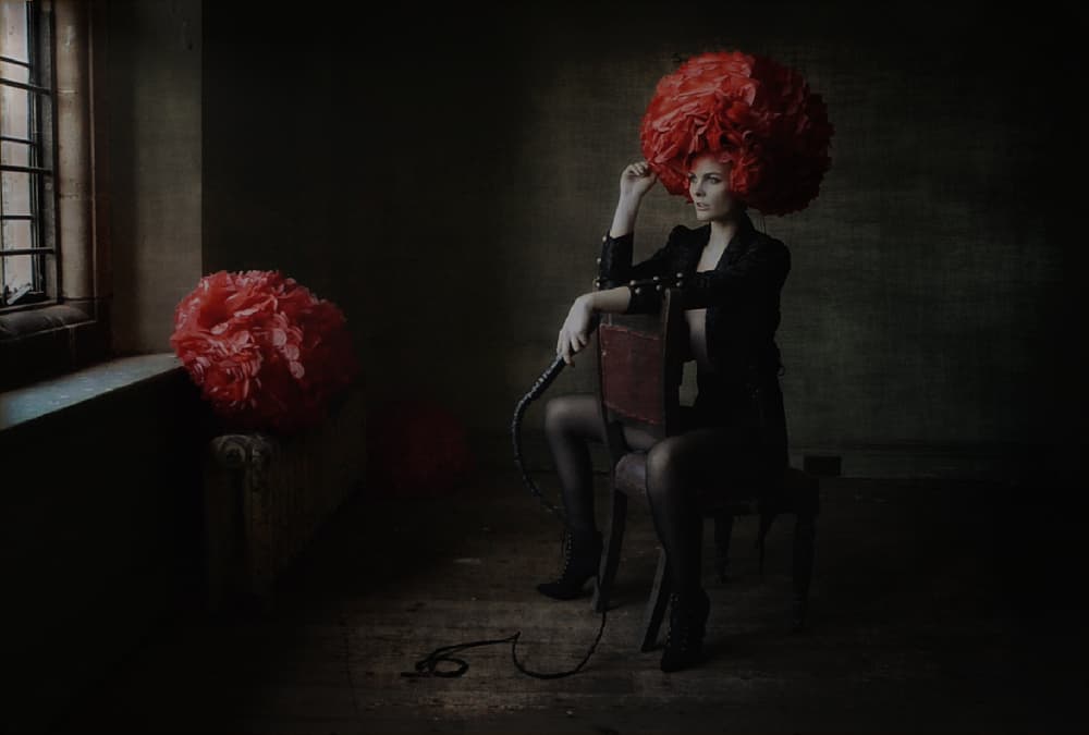 Bold Red Blossom by kenp — canvas wall art