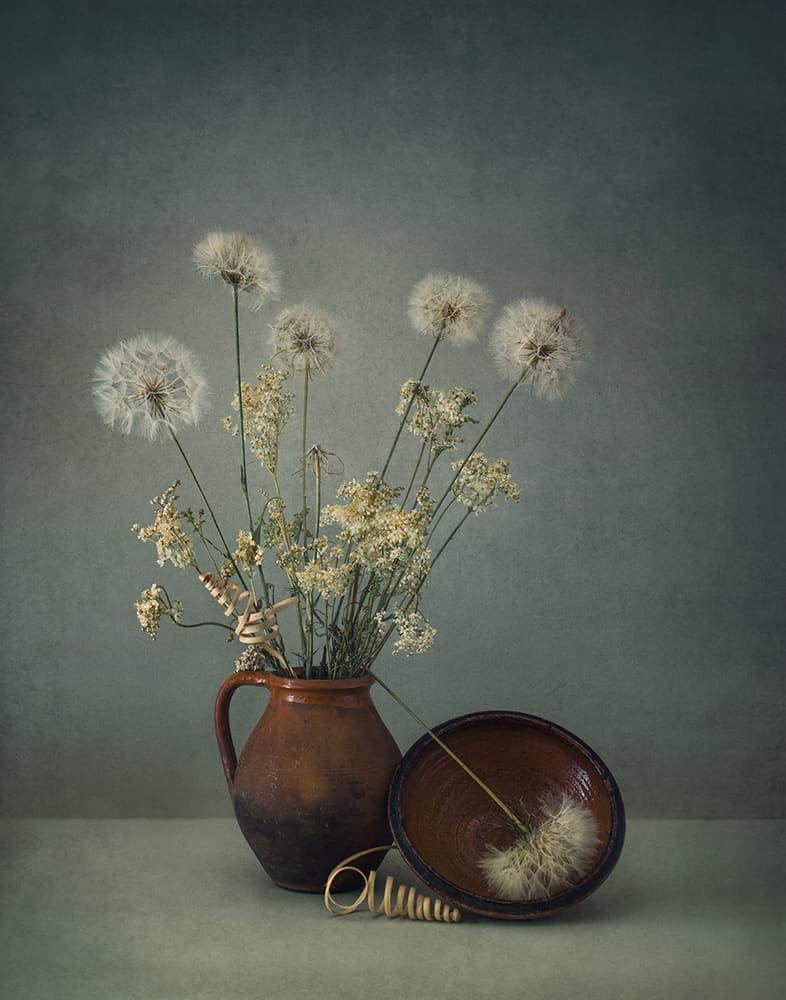 Earthy Dandelion Still Life by Dimitar Lazarov - Dim — canvas wall art