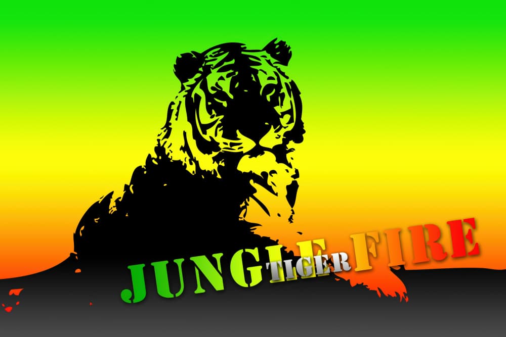 Jungle Tiger Fire by Rafal Kulik — canvas wall art