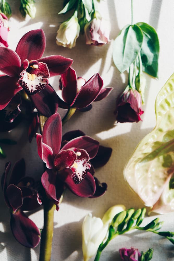 Orchid Elegance by uplusmestudio — canvas wall art