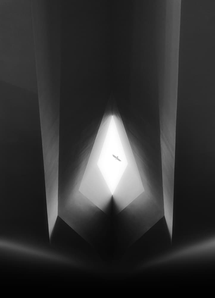 Bird in Abstract Geometry by Bingo Z — canvas wall art